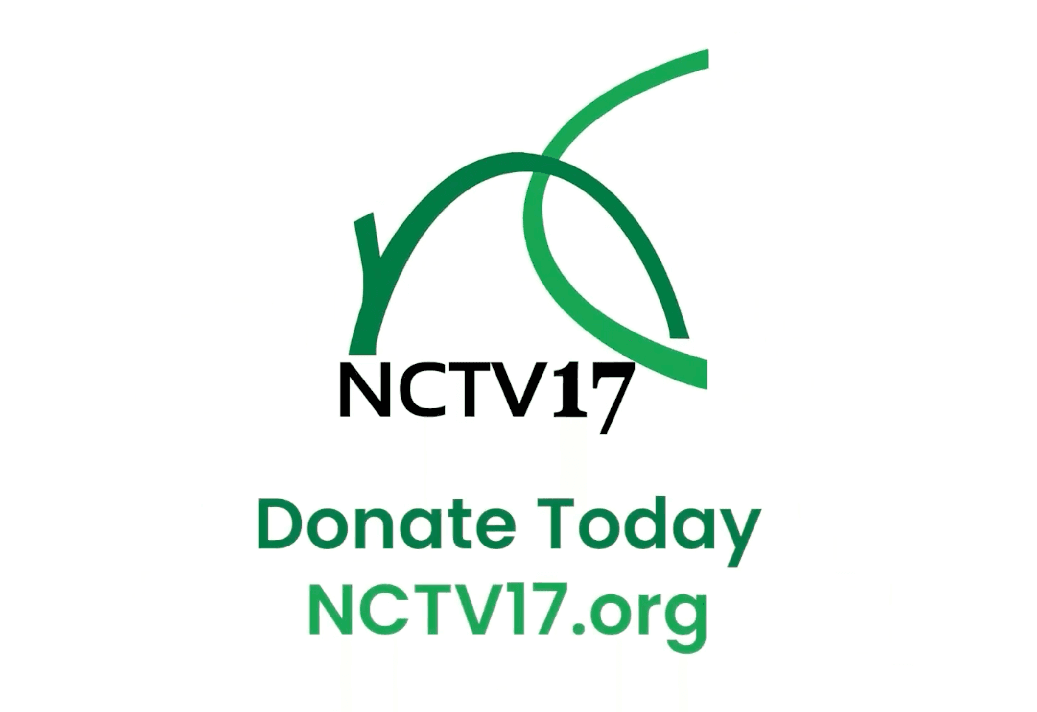 Naperville Channel Television 17 Interview