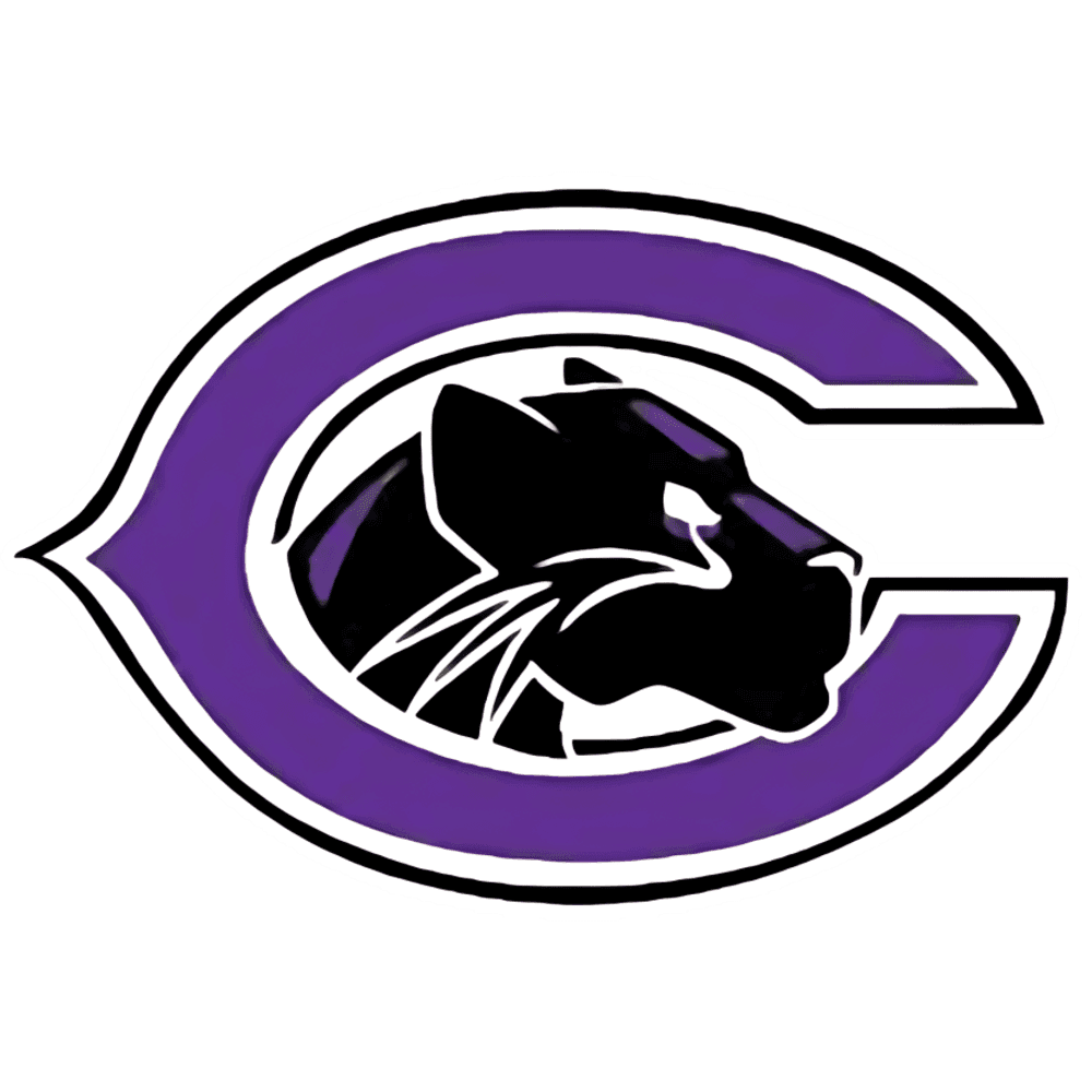 School logo 13