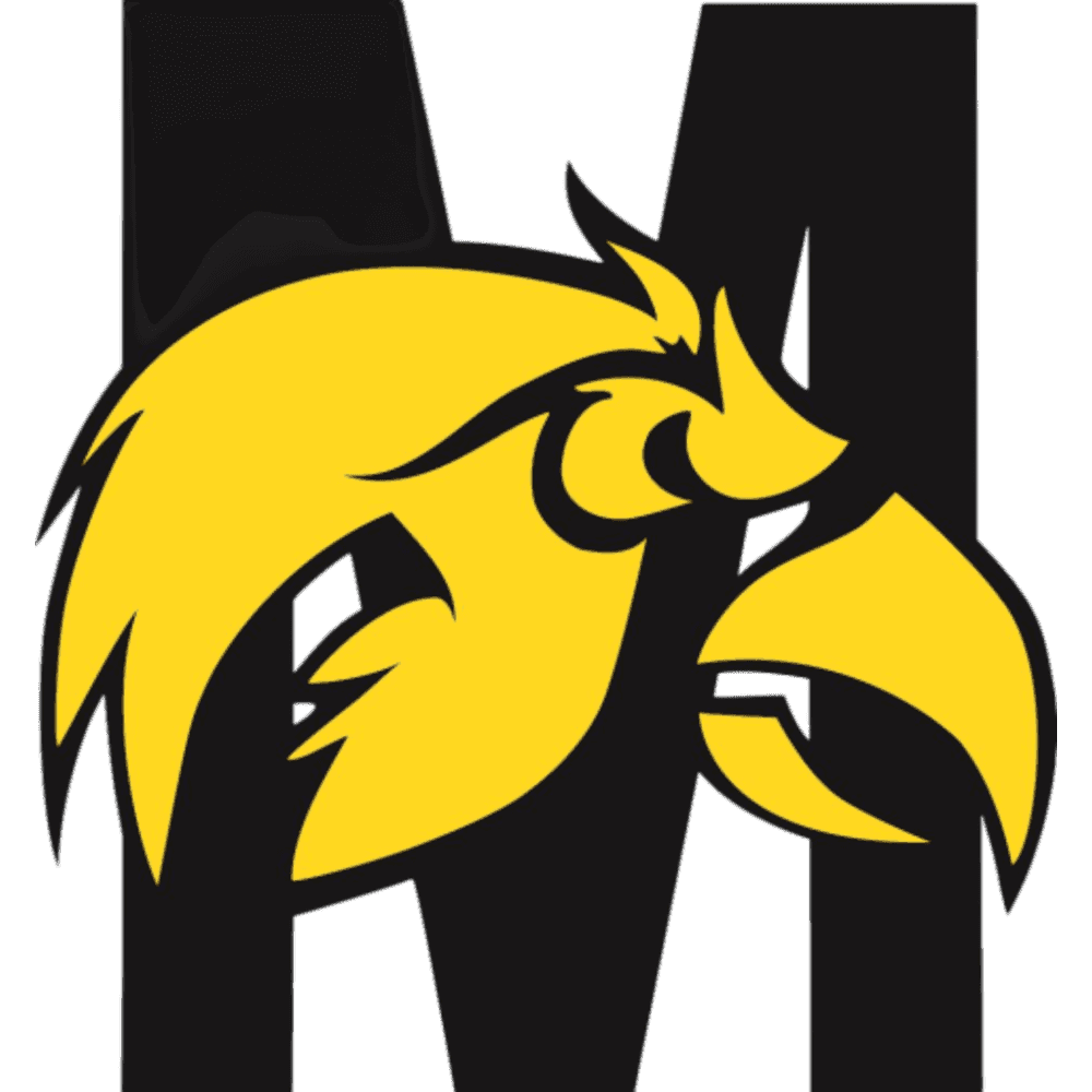 School logo 24
